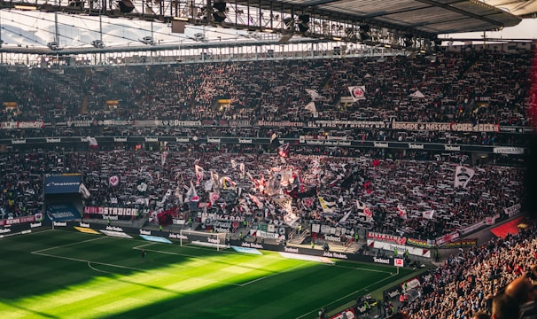 A packed sports stadium filled with enthusiastic fans waving flags and banners. The crowd is dense, showcasing a dynamic and lively atmosphere. Sunlight filters through the stadium roof, casting patterns on the green field below.
